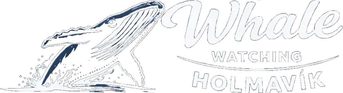 Hvalaskoðun Hólmavík ehf